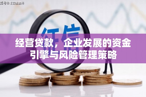 前镇经营贷款，企业发展的资金引擎与风险管理策略