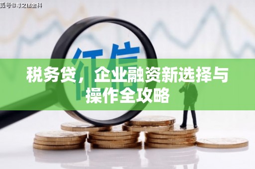 松北税务贷，企业融资新选择与操作全攻略