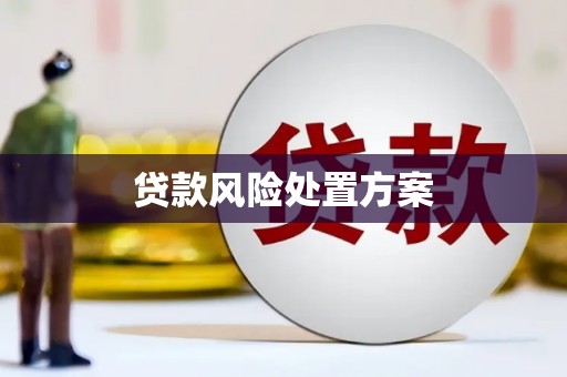 门源贷款风险处置方案