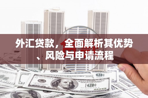 八德外汇贷款，全面解析其优势、风险与申请流程