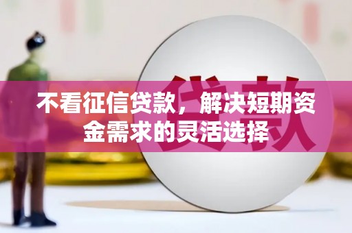 乐东不看征信贷款，解决短期资金需求的灵活选择