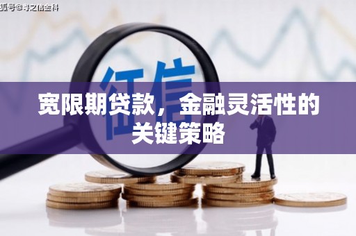 万峦宽限期贷款，金融灵活性的关键策略