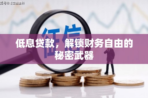 暖暖低息贷款，解锁财务自由的秘密武器