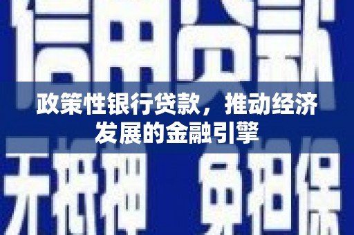 定陶政策性银行贷款，推动经济发展的金融引擎