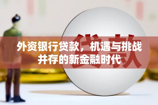 张北外资银行贷款，机遇与挑战并存的新金融时代