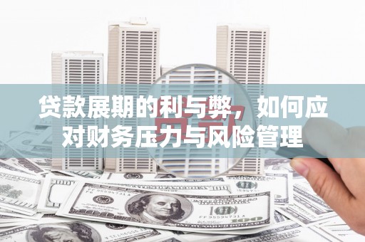 阜宁贷款展期的利与弊，如何应对财务压力与风险管理