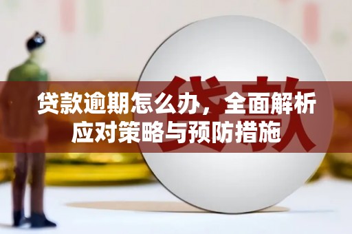 太平贷款逾期怎么办，全面解析应对策略与预防措施