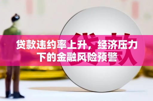 林甸贷款违约率上升，经济压力下的金融风险预警