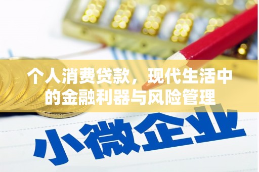台西个人消费贷款，现代生活中的金融利器与风险管理