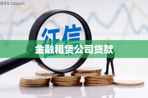 盖州金融租赁公司贷款
