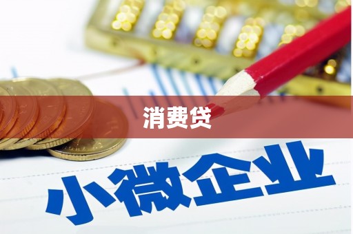 洛扎消费贷