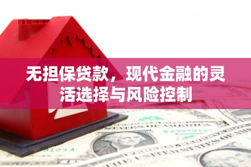 宛城无担保贷款，现代金融的灵活选择与风险控制