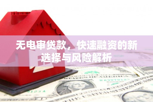 炉霍无电审贷款，快速融资的新选择与风险解析
