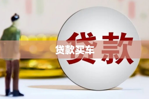 云龙贷款买车