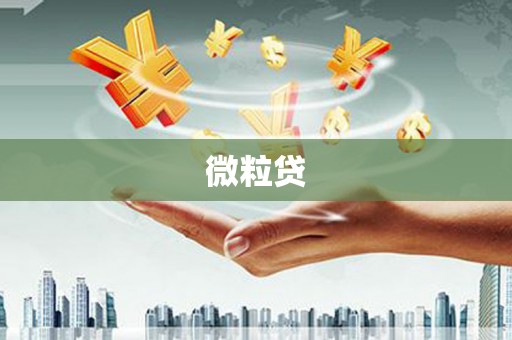 西咸微粒贷