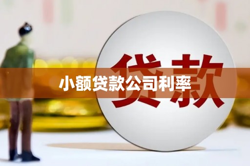 涵江小额贷款公司利率