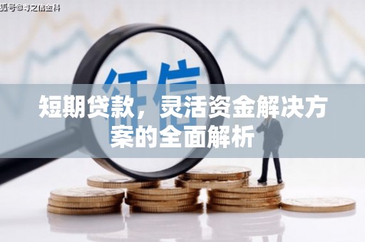 丰顺短期贷款，灵活资金解决方案的全面解析