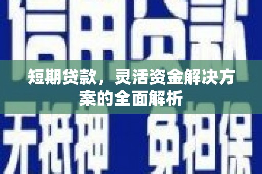 新河短期贷款，灵活资金解决方案的全面解析