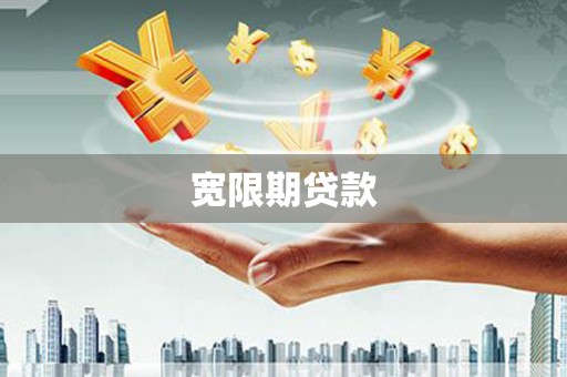 苑里宽限期贷款