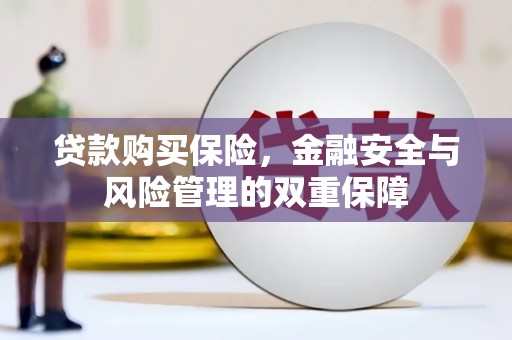 天元贷款购买保险，金融安全与风险管理的双重保障