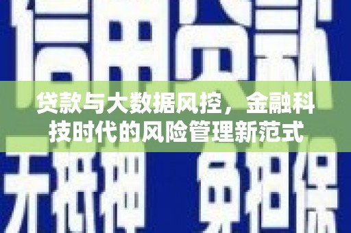 沙湾贷款与大数据风控，金融科技时代的风险管理新范式