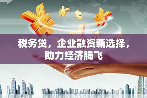 秦汉税务贷，企业融资新选择，助力经济腾飞