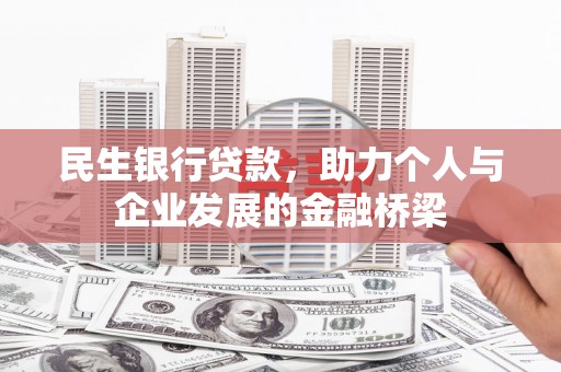 芦淞民生银行贷款，助力个人与企业发展的金融桥梁