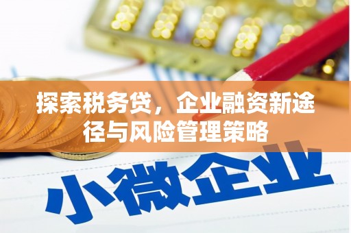 曲水探索税务贷，企业融资新途径与风险管理策略