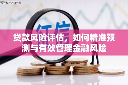 固始贷款风险评估，如何精准预测与有效管理金融风险