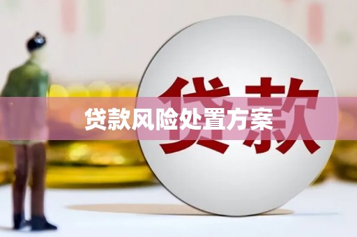 黔西南贷款风险处置方案