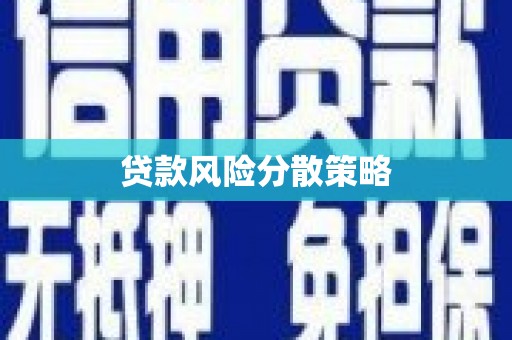 文圣贷款风险分散策略
