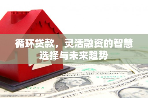 天峨循环贷款，灵活融资的智慧选择与未来趋势