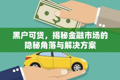 平舆黑户可贷，揭秘金融市场的隐秘角落与解决方案