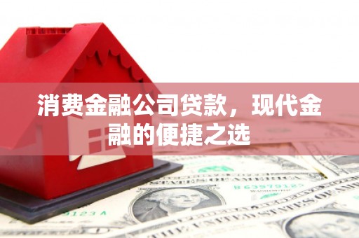 树林消费金融公司贷款，现代金融的便捷之选