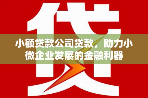 宁陵小额贷款公司贷款，助力小微企业发展的金融利器