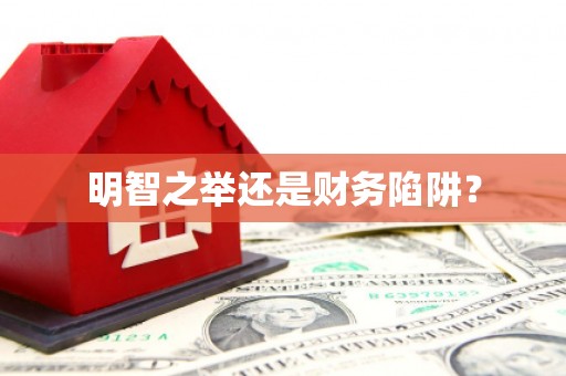 思南明智之举还是财务陷阱？
