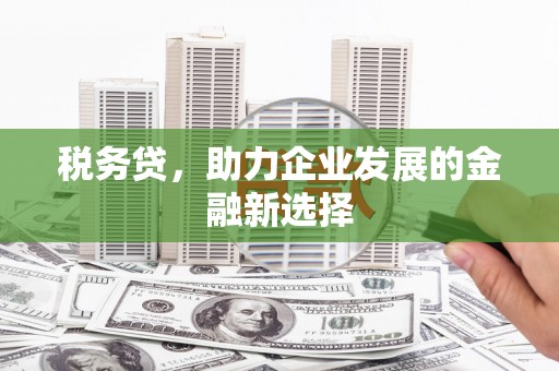 盐城税务贷，助力企业发展的金融新选择