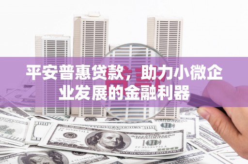 狮子山平安普惠贷款，助力小微企业发展的金融利器