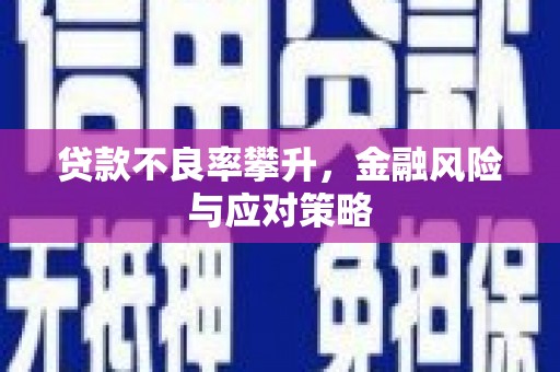 宽甸贷款不良率攀升，金融风险与应对策略