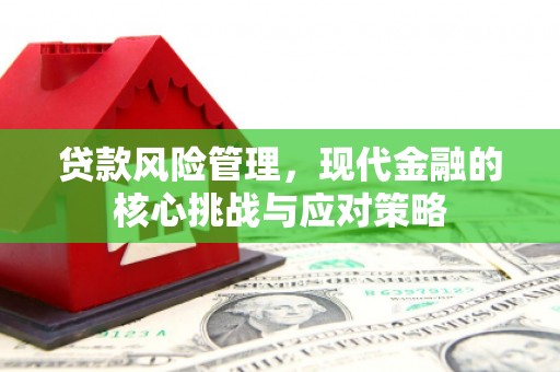 溪口贷款风险管理，现代金融的核心挑战与应对策略