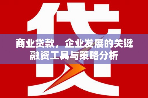 久治商业贷款，企业发展的关键融资工具与策略分析