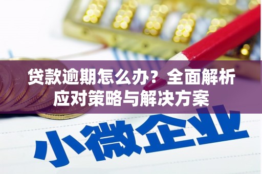 香格里拉贷款逾期怎么办？全面解析应对策略与解决方案