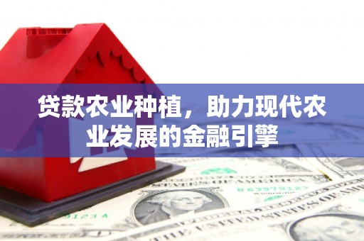 隆尧贷款农业种植，助力现代农业发展的金融引擎