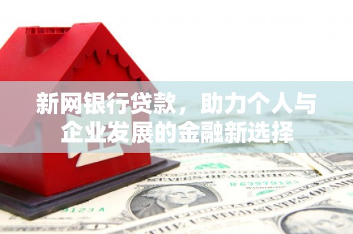 太保新网银行贷款，助力个人与企业发展的金融新选择