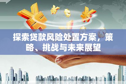 沿滩探索贷款风险处置方案，策略、挑战与未来展望