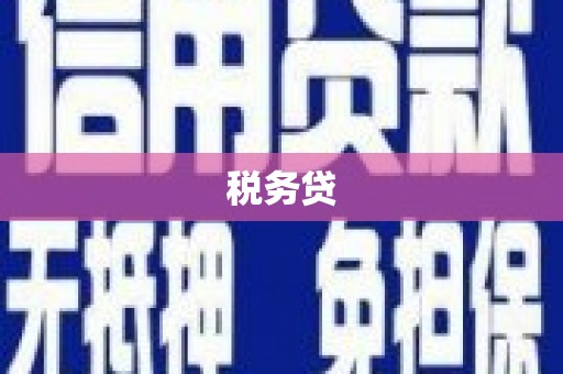 玉林税务贷