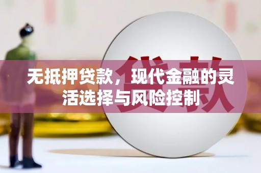 盐山无抵押贷款，现代金融的灵活选择与风险控制