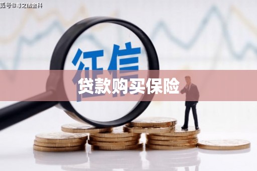 巴塘贷款购买保险