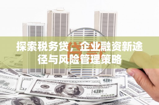 泰来探索税务贷，企业融资新途径与风险管理策略