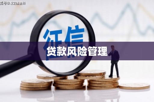 厚街贷款风险管理